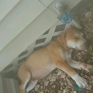 Meet your Posher, Alexia